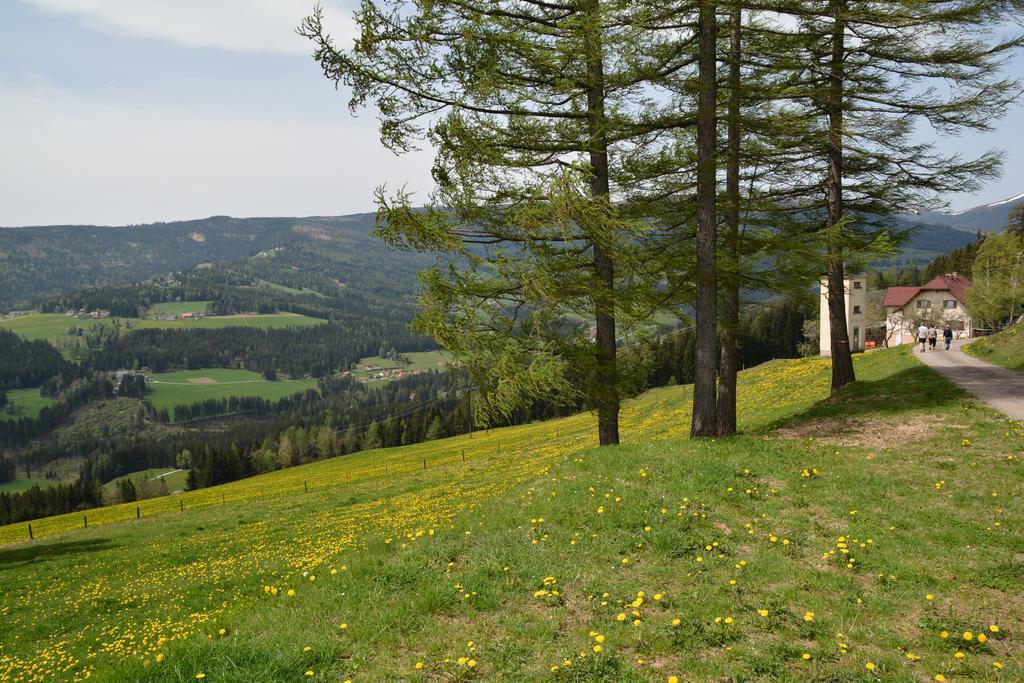 Gaestepension Edeltraud Hotel Hirschegg  Exterior photo